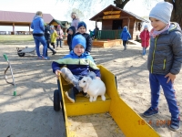 Zdjęcie: Wielkanocny zajączek w Kluczewie