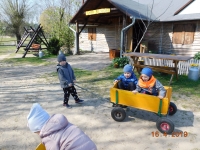 Zdjęcie: Wielkanocny zajączek w Kluczewie