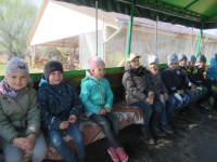 Zdjęcie: Wycieczka do Kluczewa