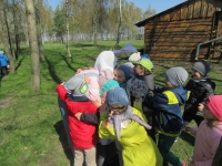 Zdjęcie: Wycieczka do Kluczewa