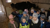 Zdjęcie: WYCIECZKA DO KLUCZEWA...