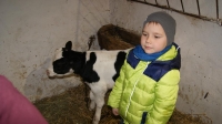 Zdjęcie: WYCIECZKA DO KLUCZEWA...