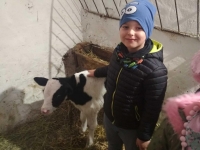 Zdjęcie: WYCIECZKA DO KLUCZEWA...