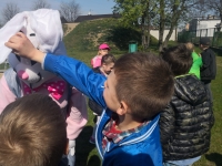 Zdjęcie: Wielkanoc