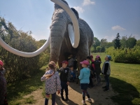 Zdjęcie: Wycieczka do Deli Park
